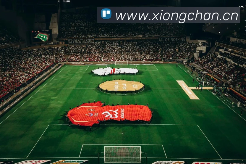 爱游戏体育app官网入口APP 封面图